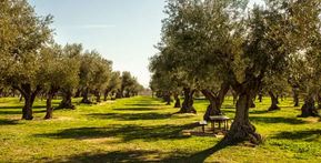 الصدق طريق النجاة