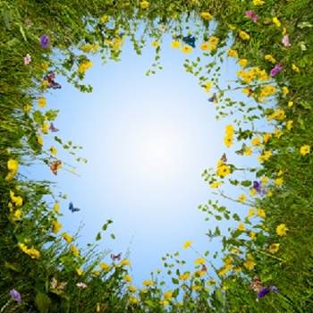 الإتقان عبادة مستمرة