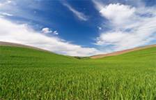 الرحمة في التعامل مع الآخرين