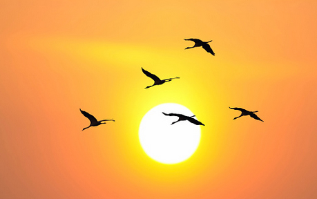 إذا نمت قلبك مع الإسلام