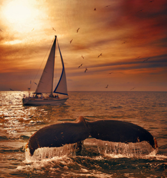 تروي مغنّية الراب ديامس تجربتها قبل اعتناقها الإسلام