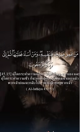 سورة الجاثية: 15