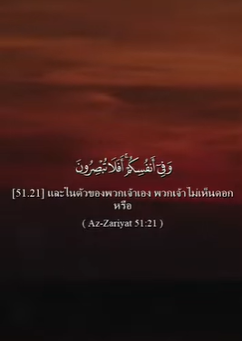 سورة الذاريات: 21