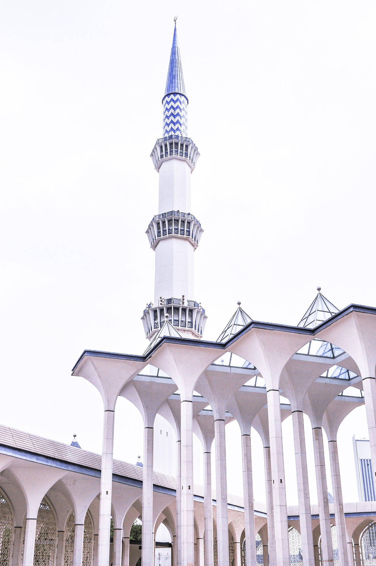 القدرة على التغيير من علم الإسلام إلى واقع العصر